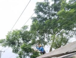 Respons Cepat! PLN Pebayuran Tangani Gangguan Kabel Tegangan Tinggi Akibat Pohon