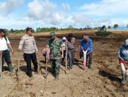 Dukung Program Presiden RI Ketahanan Pangan, Hendri Siregar Buka Pertanian