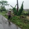 Bhabinkamtibmas Polsek Pebayuran Aiptu Abdurrahman Sigap Atasi Pohon Tumbang Demi Kelancaran Pengguna Jalan