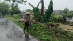 Bhabinkamtibmas Polsek Pebayuran Aiptu Abdurrahman Sigap Atasi Pohon Tumbang Demi Kelancaran Pengguna Jalan