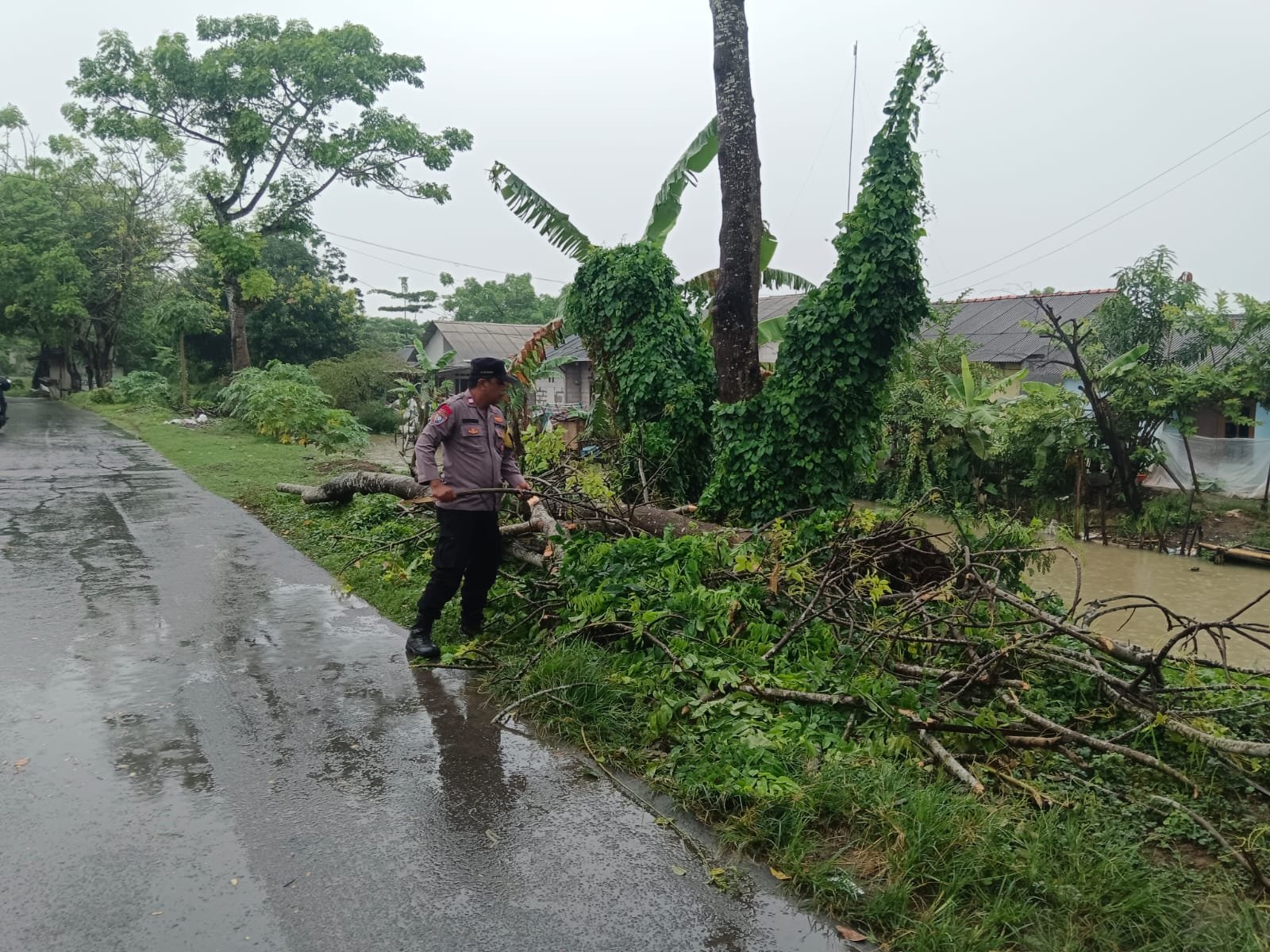 Bhabinkamtibmas Polsek Pebayuran Aiptu Abdurrahman Sigap Atasi Pohon Tumbang Demi Kelancaran Pengguna Jalan