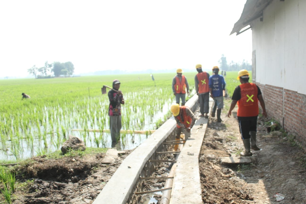 Petani Pebayuran Desa Karangpatri Sambut Baik Program P.3.TGAI, Saluran Irigasi Permudah Akses Air ke Sawah