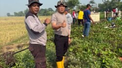 Kapolsek Pebayuran AKP Iing Suhaeri S.H., M.H., Ajak Warga Peduli Lingkungan, Tanggapi Video Viral Saluran Irigasi Penuh Eceng Gondok dan Sampah