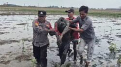 Kepedulian yang Menyentuh Hati Sigapnya Kanit Intel Polsek Pebayuran Aiptu Abdurrahman Jaga Ketenteraman Warga Sumberreja