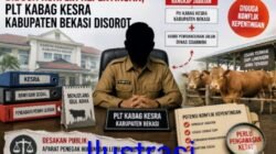 Plt Kabag Kesra Kabupaten Bekasi Disorot, Diduga Ada Konflik Kepentingan