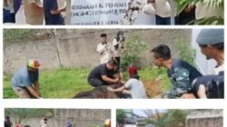 Momentum Iduladha 1447 Hijriah, Imigrasi Bekasi Perkuat Solidaritas dan Kepedulian Sosial